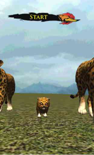 real leopardo cub simulador 1