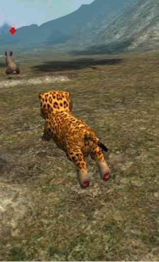real leopardo cub simulador 2