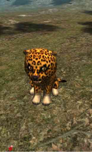 real leopardo cub simulador 3