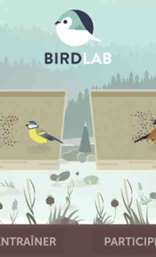 BirdLab 1