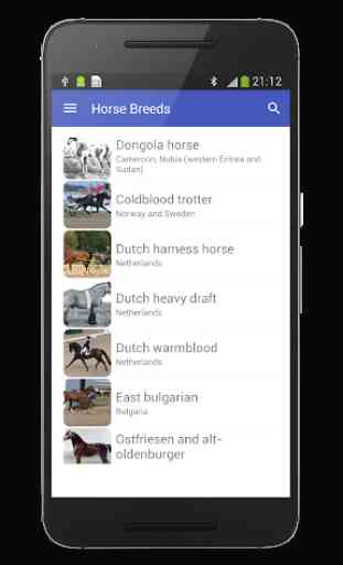 Horse Breeds Database 1