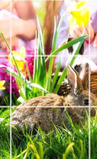Puzzle - coelhos bonitos 2