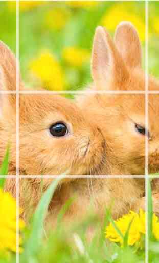 Puzzle - coelhos bonitos 4