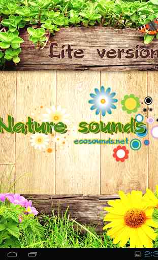 Sons da Natureza - Lite 1