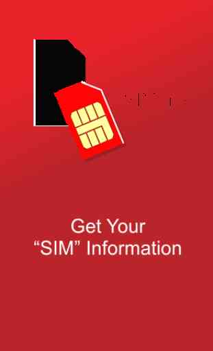 SIM Info 1