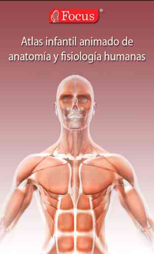 Atlas anatomía 1