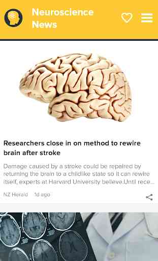 Neurociência | Mente e Cérebro 3