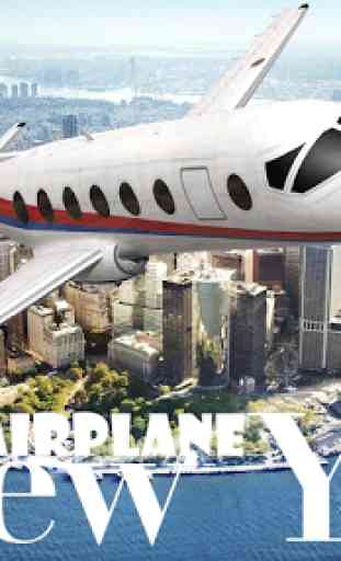 Airplane New York 1
