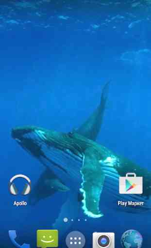 Whale 3D. Video wallpaper 2