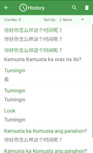 Filipino - Chinese Translator 4