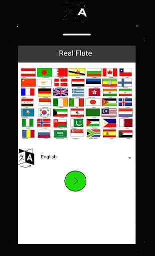 Real flute 1