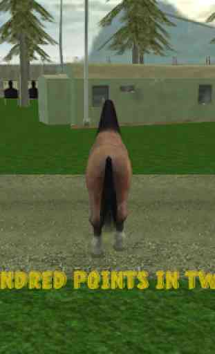 fúria wild cavalo simulador 3D 2