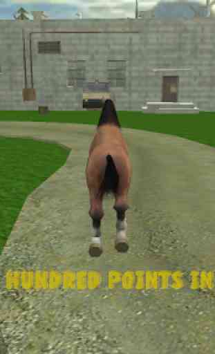 fúria wild cavalo simulador 3D 3