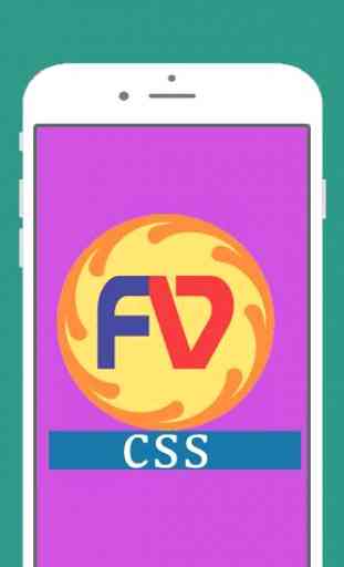 Learn CSS  free Code and Example - future vision 1