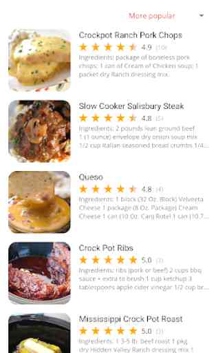 CrockPot and Oven Recipes 2