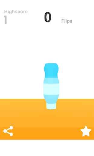 Water Bottle Flip 2016 4