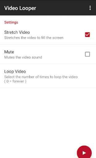 Video Looper 1