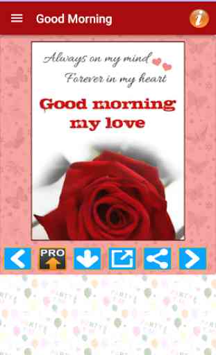 Love Status Picture Message Photo & Greeting cards 2