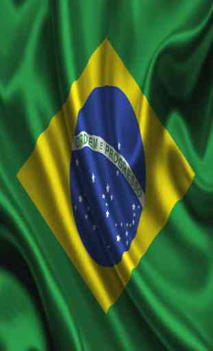 Brazil Flag 3