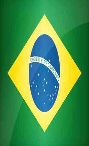 Brazil Flag 4