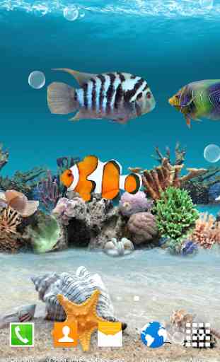 Coral Fish 3D Live Wallpaper 4