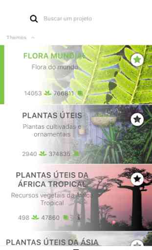 PlantNet Identificação Planta 3