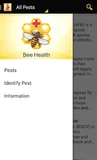 Bee Health 3