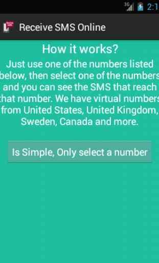 Receive SMS Online 1