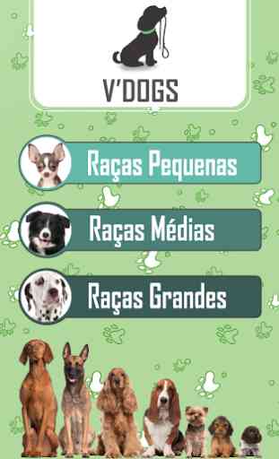 VDogs Raças de Cachorros 4