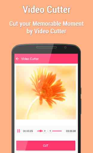 Video Cutter 3