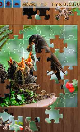 Jigsaw pássaros 1