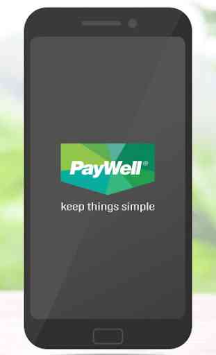 PayWell Services 1