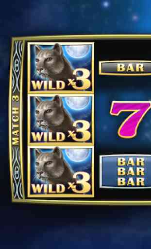 Jackpot Panther Casino Slots 1