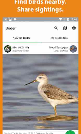 Birder - Observação de Aves 1