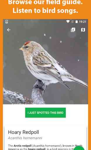 Birder - Observação de Aves 2