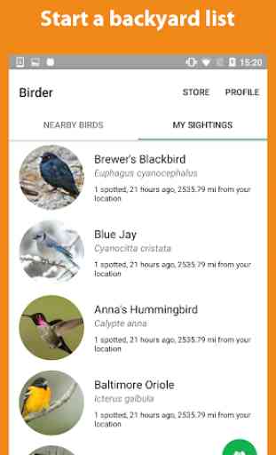 Birder - Observação de Aves 3