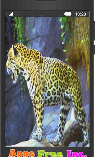 sons Jaguar 3