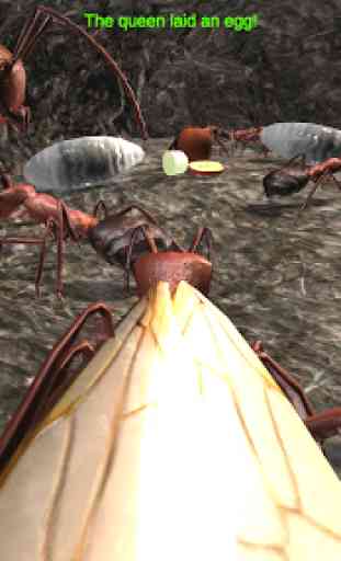 Ant Simulation 3D Full 2