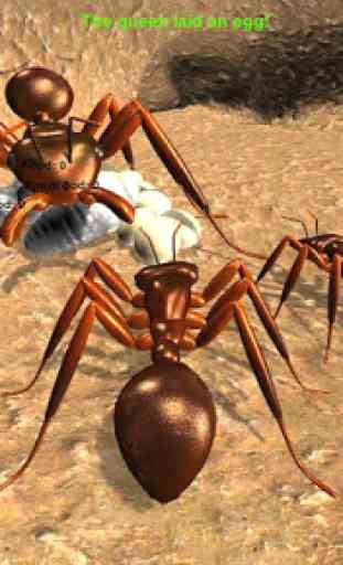 Ant Simulation 3D Full 3