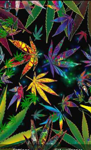 mariguana Weed Live Wallpaper 1