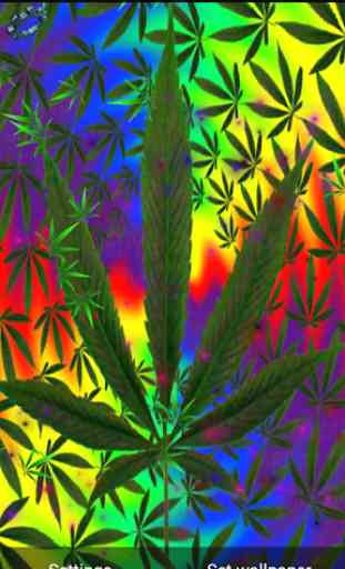 mariguana Weed Live Wallpaper 2