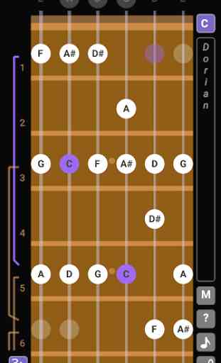 Guitar Scales & Patterns 2