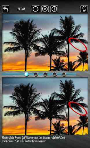 Find the Difference 3 - Fun Relaxing Puzzle 1