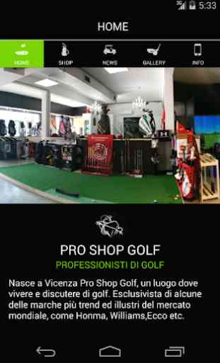 Pro Shop Golf 1