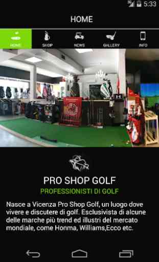 Pro Shop Golf 4