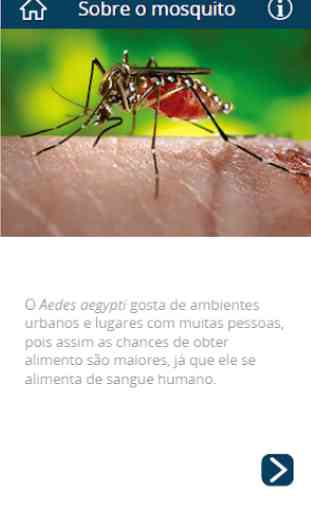 Aedes Zero 3