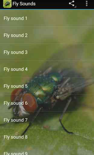 Fly Sounds Prank 1