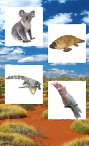 Animais Austrália 4
