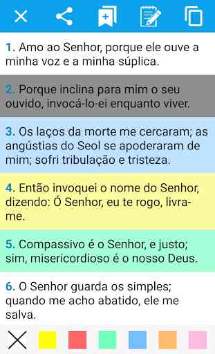 A Bíblia Sagrada em Português 1