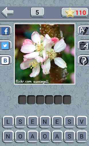 Guess the word 4 pics 1 word 3